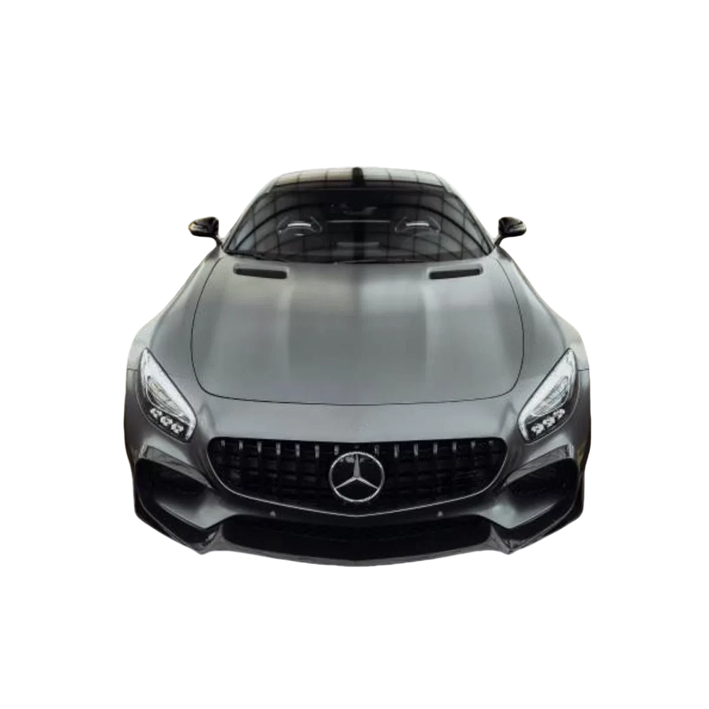 Panamericana GTR Grille  AMG GT (C190R190)